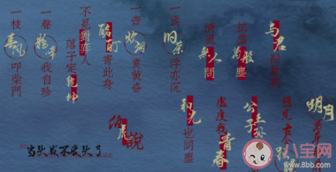 抖音明月萬年無前身照見古今獨醒人是什么歌 《伯虎說》完整版歌詞在線聽歌