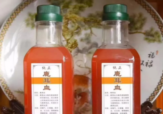 鹿茸血酒可以提高免疫預防心血管疾病是真的嗎 鹿茸血酒要如何保存