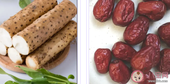 春季寶寶輔食怎么挑選 有營養易消化的輔食推薦