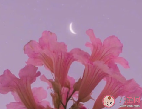 女孩在戀愛中容易出現哪些問題 如何避免戀愛腦 女孩在戀愛中容易出現哪些問題 如何避免戀愛腦