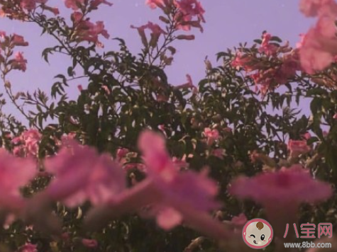 女孩在戀愛中容易出現哪些問題 如何避免戀愛腦 女孩在戀愛中容易出現哪些問題 如何避免戀愛腦