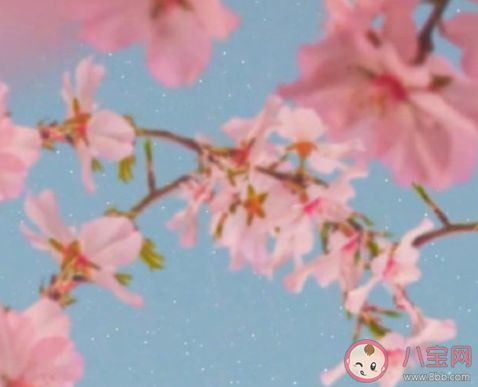 女孩在戀愛中容易出現哪些問題 如何避免戀愛腦 女孩在戀愛中容易出現哪些問題 如何避免戀愛腦