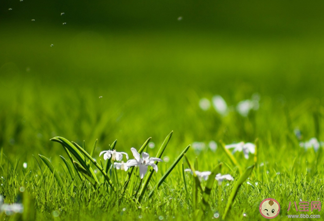 春季健康養(yǎng)生首選是什么 春季養(yǎng)生4個要點(diǎn)需注意