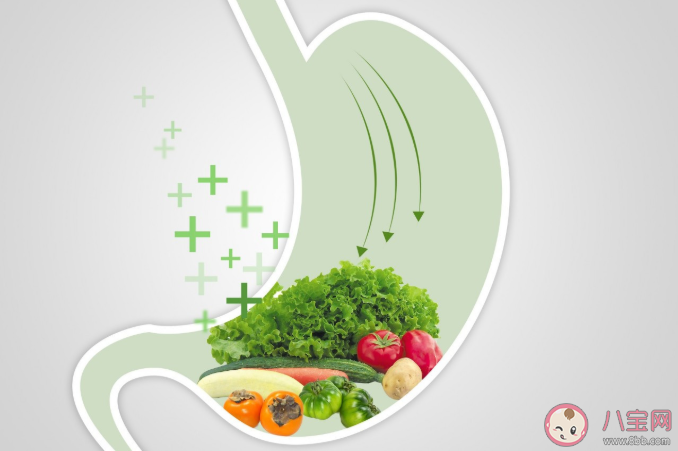 春季健康養(yǎng)生首選是什么 春季養(yǎng)生4個要點(diǎn)需注意