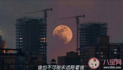 對感情很失望不再碰感情的說說 表示對感情絕望了的心情句子