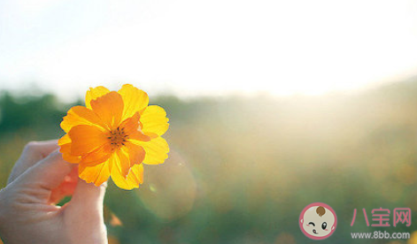 對感情很失望不再碰感情的說說 表示對感情絕望了的心情句子