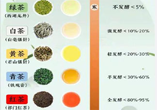 并沒有專門的綠茶樹紅茶樹嗎 紅茶和綠茶一般是用什么茶樹