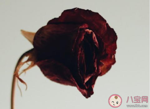 該不該讓女兒為愛遷徒遠嫁他鄉 父母不愿意女兒遠嫁的原因是什么 該不該讓女兒為愛遷徒遠嫁他鄉 父母不愿意女兒遠嫁的原因是什么