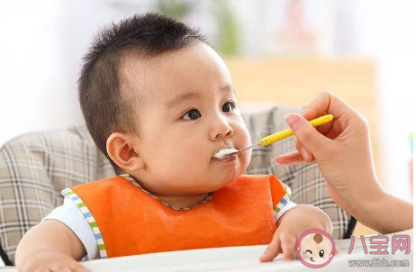 吃肉的孩子會更聰明是真的嗎 寶寶什么時候吃肉最好