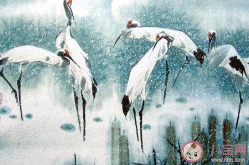 大快朵頤形容大飽口福那朵頤指的是什么 螞蟻莊園2月27日答案