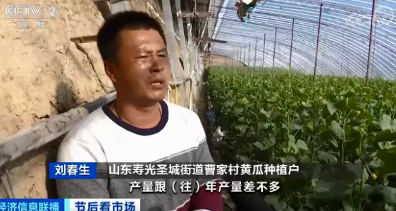 2021年春節后哪些蔬菜降價了 蔬菜價格何時恢復正常 2021年春節后哪些蔬菜降價了 蔬菜價格何時恢復正常