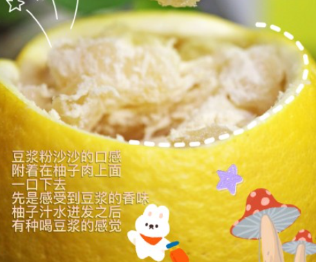 豆漿粉蘸柚子好吃嗎 豆漿粉蘸哪種柚子更好吃