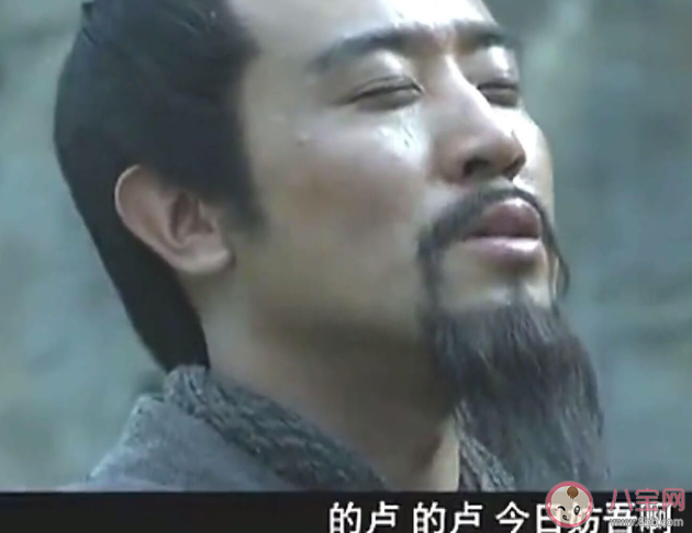 馬作的盧飛快中的盧馬的主人是誰 螞蟻莊園3月2日正確答案 馬作的盧飛快中的盧馬的主人是誰 螞蟻莊園3月2日正確答案