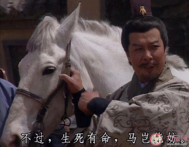 馬作的盧飛快中的盧馬的主人是誰 螞蟻莊園3月2日正確答案 馬作的盧飛快中的盧馬的主人是誰 螞蟻莊園3月2日正確答案