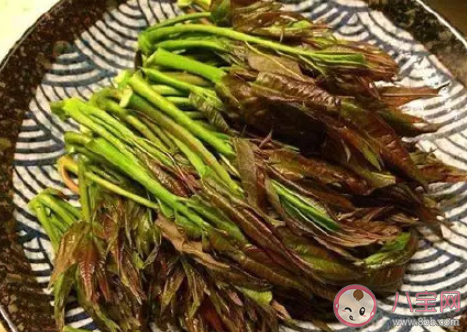 上海香椿賣到90元一斤是怎么回事 春菜指的是哪些蔬菜 上海香椿賣到90元一斤是怎么回事 春菜指的是哪些蔬菜