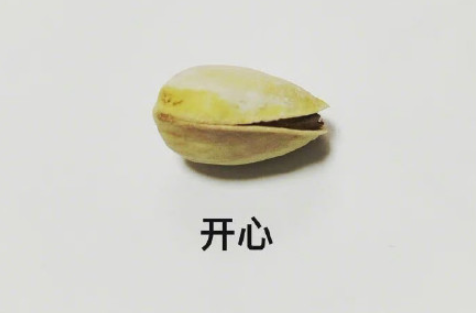 開心果的等級劃分是怎樣的 開心果表情包圖片大全 開心果的等級劃分是怎樣的 開心果表情包圖片大全