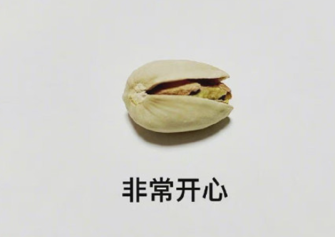 開心果的等級劃分是怎樣的 開心果表情包圖片大全 開心果的等級劃分是怎樣的 開心果表情包圖片大全