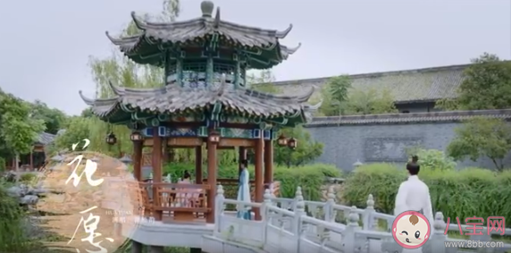 譚松韻《花愿》歌詞是什么  錦心似玉插曲《花愿》完整版歌詞介紹