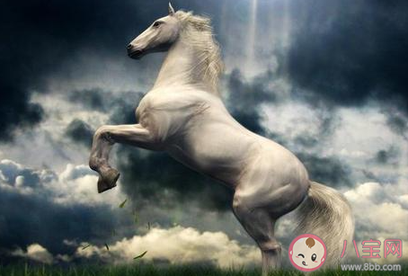 的盧馬的主人是誰 螞蟻莊園3月2日答案