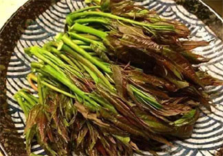 上海香椿賣到90元一斤是怎么回事 春菜指的是哪些蔬菜