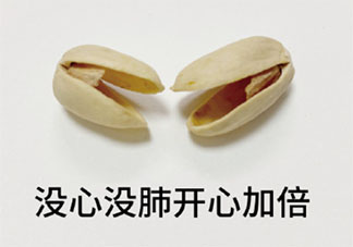 開心果的等級劃分是怎樣的 開心果表情包圖片大全