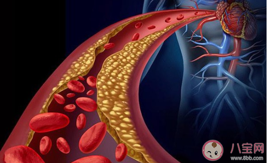 透過皮膚看靜脈血管是藍色的主要因為什么 螞蟻莊園3月3日正確答案