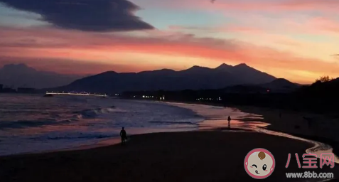 血液是紅色透過皮膚看靜脈血管卻是藍色的原因 螞蟻莊園3月3日答案 血液是紅色透過皮膚看靜脈血管卻是藍色的原因 螞蟻莊園3月3日答案