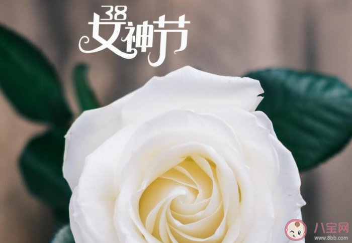 2021婦女節給老婆的感謝語情話說說 2021三八婦女節送老婆的祝福語句子 2021婦女節給老婆的感謝語情話說說 2021三八婦女節送老婆的祝福語句子