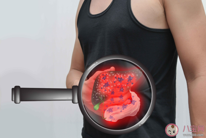 生活中哪些因素會提高患肝癌的風險 肝癌常見高危人群 生活中哪些因素會提高患肝癌的風險 肝癌常見高危人群