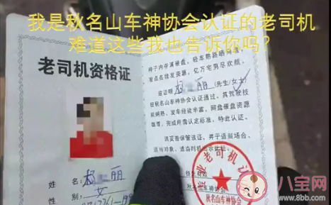 大媽逆行掏出秋名山車神老司機證是怎么回事 秋名山車神老司機證是什么梗 大媽逆行掏出秋名山車神老司機證是怎么回事 秋名山車神老司機證是什么梗