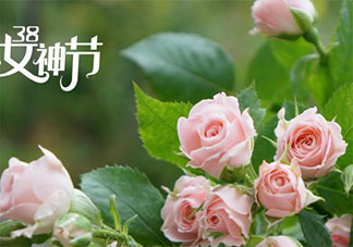 2021婦女節給老婆的感謝語情話說說 2021三八婦女節送老婆的祝福語句子