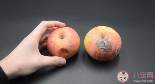 削掉蘋果長霉斑的部分剩下的可以吃嗎 螞蟻莊園3月4日正確答案 削掉蘋果長霉斑的部分剩下的可以吃嗎 螞蟻莊園3月4日正確答案