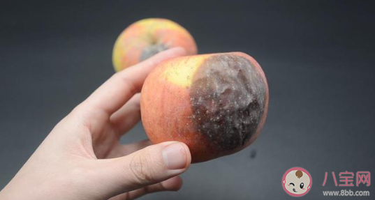 削掉蘋果長霉斑的部分剩下的可以吃嗎 螞蟻莊園3月4日正確答案 削掉蘋果長霉斑的部分剩下的可以吃嗎 螞蟻莊園3月4日正確答案