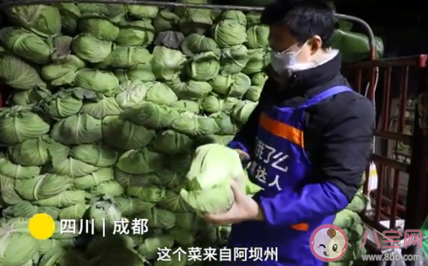 大學生繼承父輩菜攤年入百萬是怎么回事 菜市場賣菜一年能賺多少錢