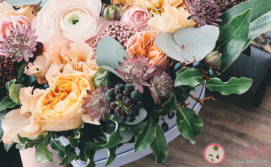 吸渣體質的女生有什么特點 吸渣體質的典型特征