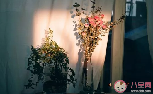 剛入職場需要注意哪些職場規則 越早知道越好的職場潛規則