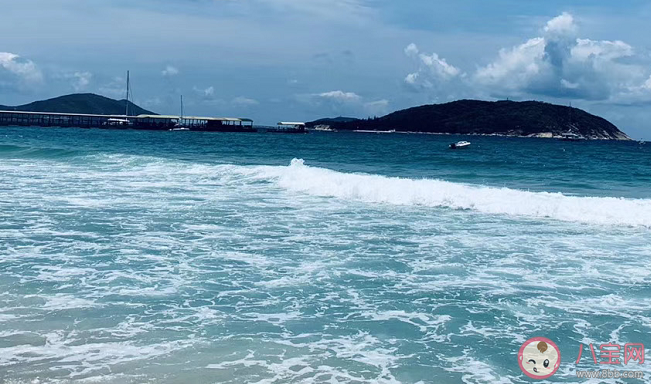 春天最有生活感的瞬間有哪些 有儀式感的事情盤點