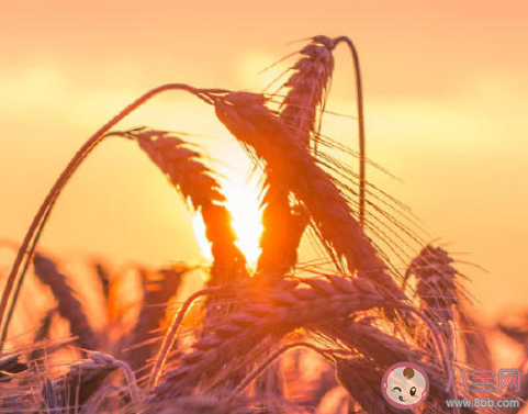 年輕人要不要找穩(wěn)定工作 年輕人要不要出去闖一闖