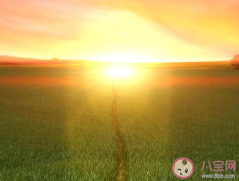 年輕人要不要找穩(wěn)定工作 年輕人要不要出去闖一闖