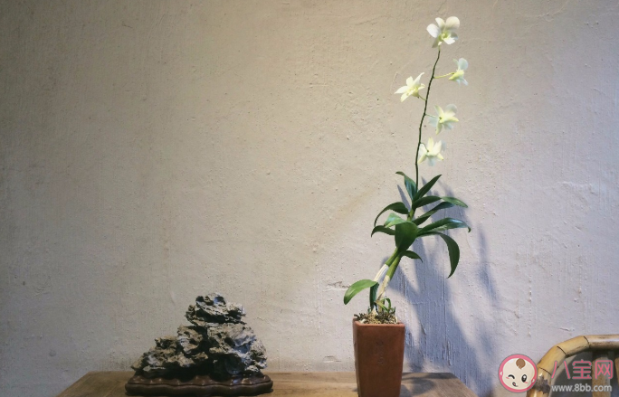 溫柔到骨子里無關(guān)風(fēng)月的干凈文案 無關(guān)愛情的好聽美好句子