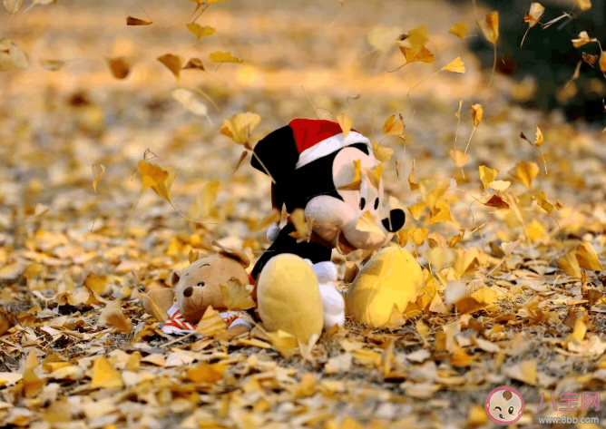 溫柔到骨子里無關(guān)風(fēng)月的干凈文案 無關(guān)愛情的好聽美好句子