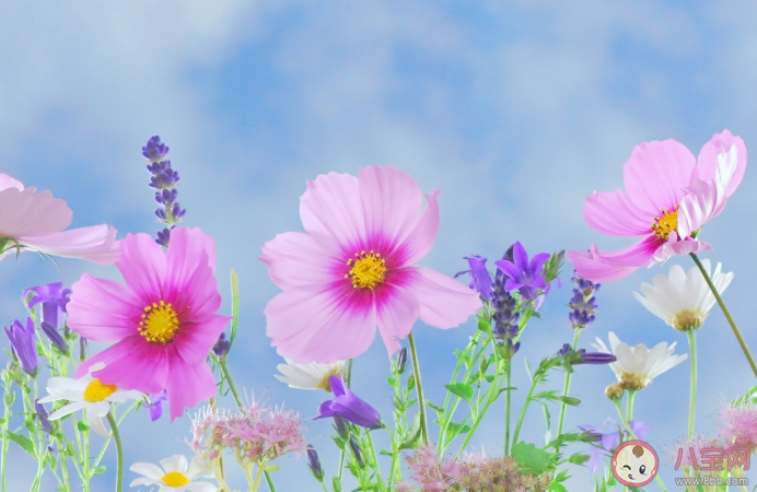 溫柔到骨子里無關(guān)風(fēng)月的干凈文案 無關(guān)愛情的好聽美好句子