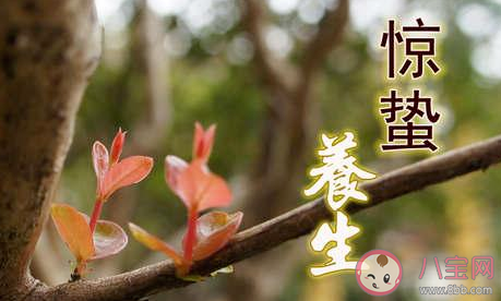 驚蟄節(jié)氣養(yǎng)生注意什么 驚蟄節(jié)氣養(yǎng)生飲食原則