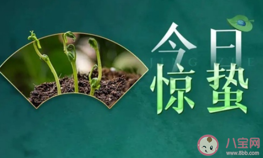 2021驚蟄節氣朋友圈祝福語 驚蟄快樂說說句子