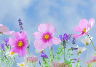 溫柔到骨子里無關風月的干凈文案 無關愛情的好聽美好句子