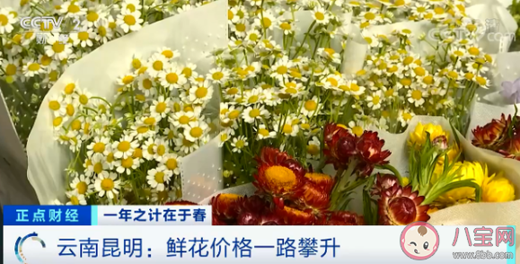 為什么鮮花漲價近4倍 2021年鮮花漲價的原因