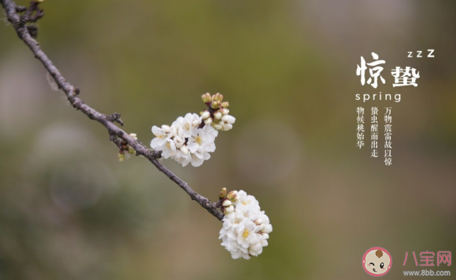 驚蟄的蟄是指生物休眠的狀態還是安靜的氣氛 螞蟻莊園3月5日正確答案 驚蟄的蟄是指生物休眠的狀態還是安靜的氣氛 螞蟻莊園3月5日正確答案