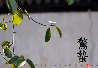 驚蟄吃蟄食是什么意思 驚蟄時節吃什么