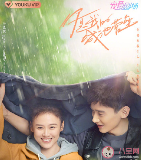 《你是我的城池營壘》每周更新幾集 《你是我的城池營壘》追劇日歷