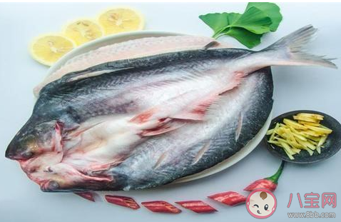 無刺的巴沙魚片和龍利魚片是一種魚嗎 螞蟻莊園3月10日答案